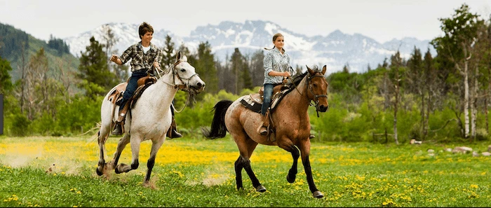 Confident plus-size woman riding Wentworth a horse through a field with a smile on her face.